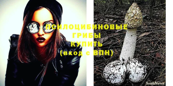 jwh Бородино
