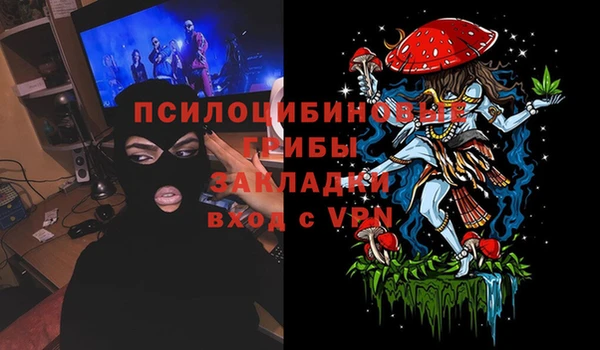 шишки Бугульма