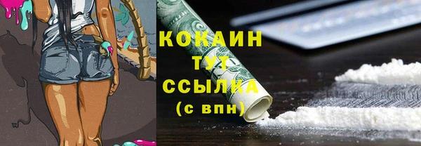 шишки Бугульма