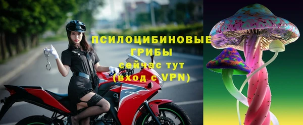 jwh Бородино