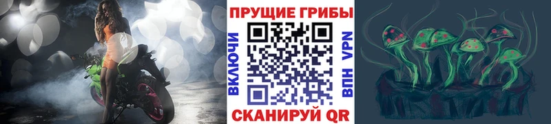 Галлюциногенные грибы ЛСД  blacksprut как войти  Дегтярск 