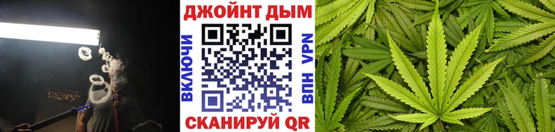 дарк нет какой сайт  Дегтярск  Шишки марихуана VHQ 